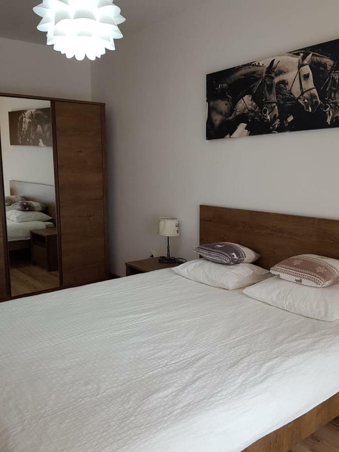 Apartment Apartament Brașov