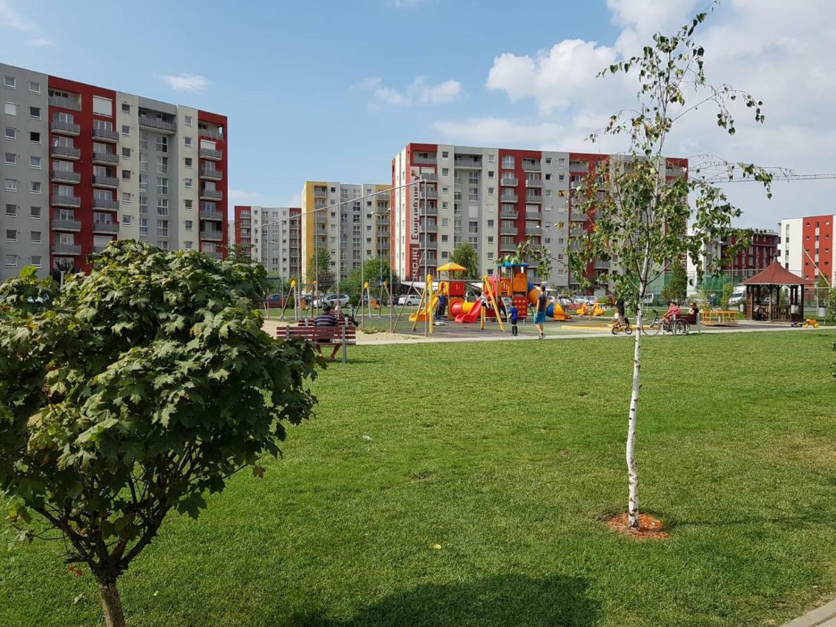 Apartament Apartment