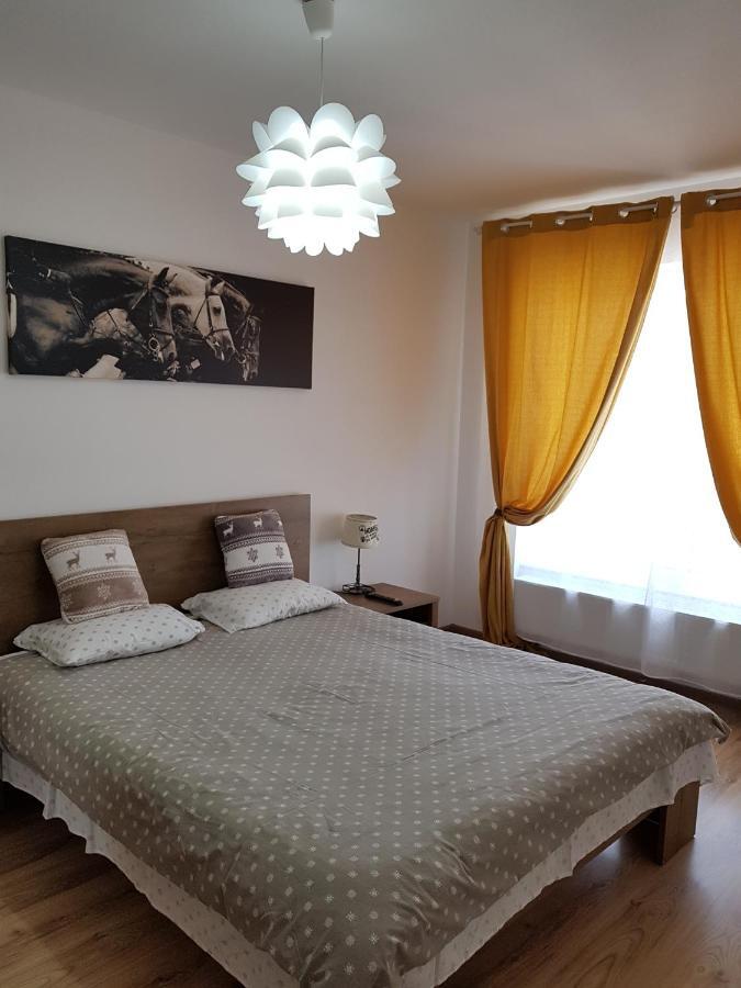 Apartament Apartment